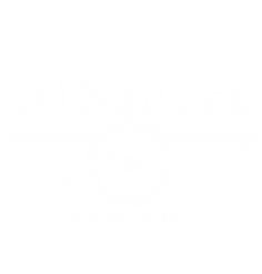 AINautics Drone Services