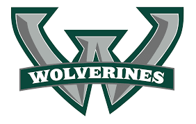 Wolverines